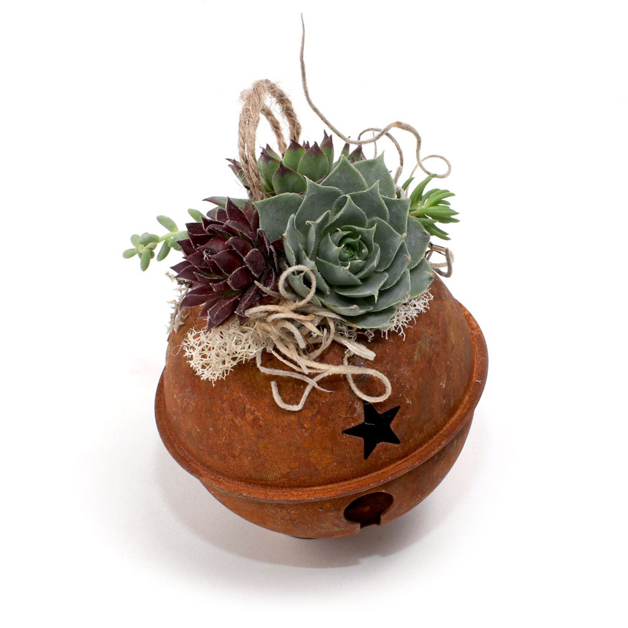 succulent ornament Rustic Jingle Bell - Succulent Ornament
