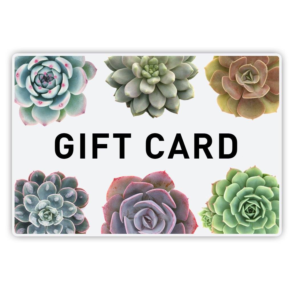 succulent gift card Gift Card