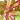 Chinese Evergreen 'Red Siam'