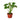 New Plant Parent Bundle