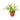 Spider Plant Reverse - 4" Pot - NURSERY POT ONLY
