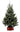 3'-4' Fraser Fir Christmas Tree with Stand