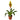 Bromeliad Vriesea 'Energy'