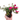 Purslane