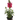 SnapDragon