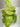 Syngonium Cream Allusion