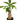 Money Tree 'Guiana Chestnut' Pachira Stump