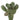 Cylindropuntia viridiflora f. cristata 'Boxing Glove'