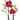 Orchid 'Red Phalaenopsis'