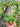 Ivy Green Topiary Heart