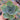 Extra Large Cutting - Echeveria 'White Rose'