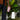 Bio Fungicide - Arber