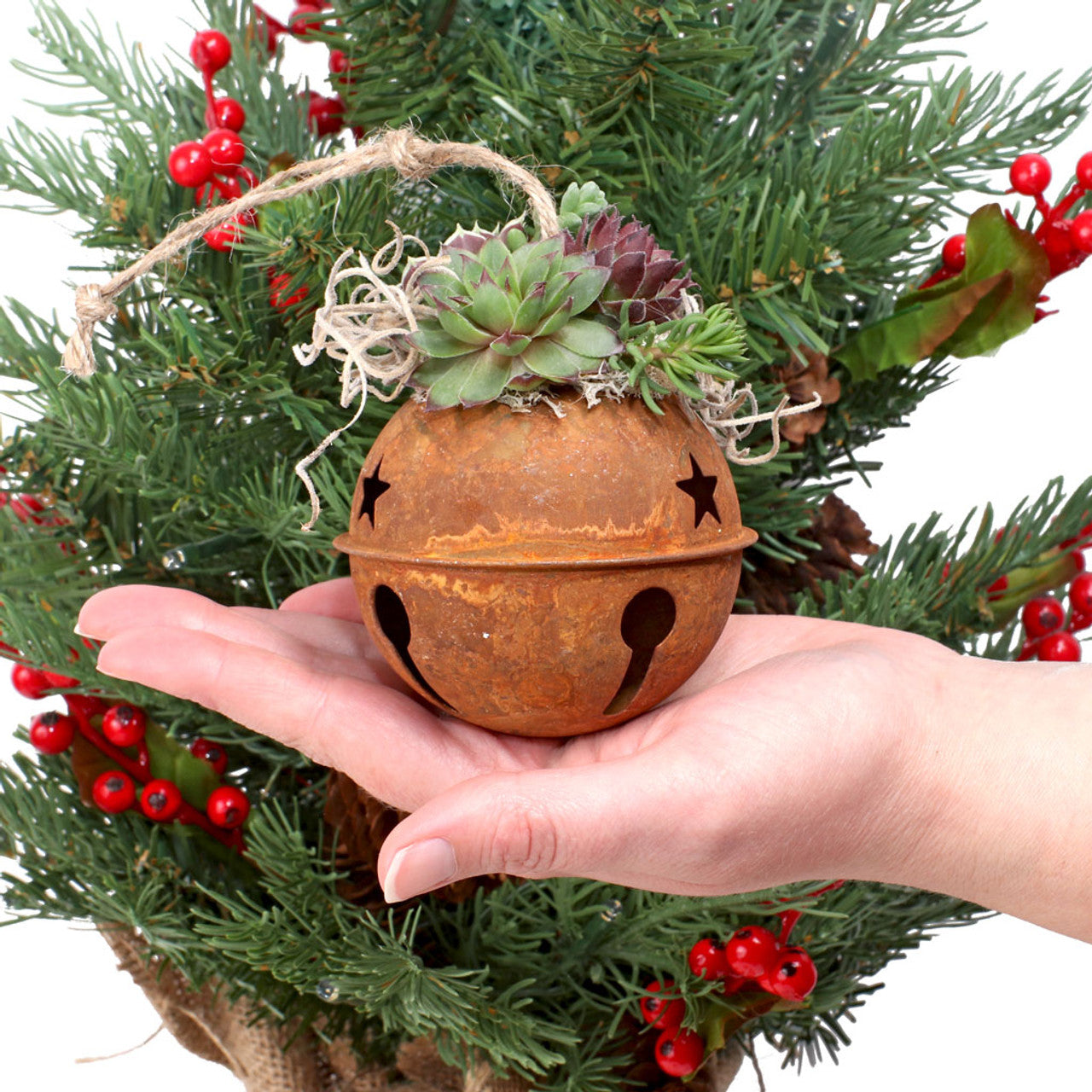 succulent christmas ornaments Rustic Jingle Bell - Succulent Ornament